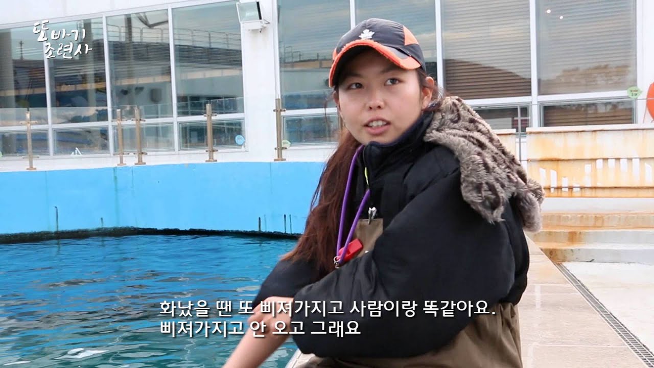 '또바기 조련사' 거제씨월드 조련사의 하루