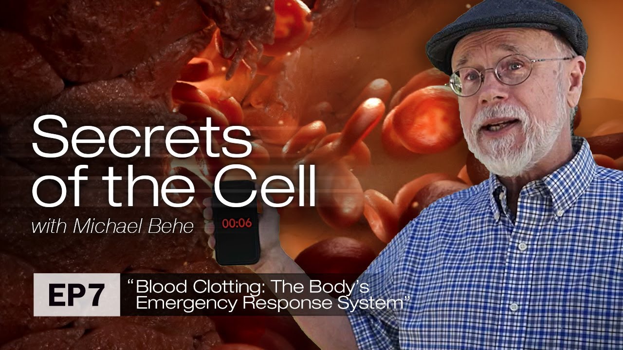 Blood Clotting: The Body&rsquo;s Emergency Response System Secrets of the Cell, Ep. 7