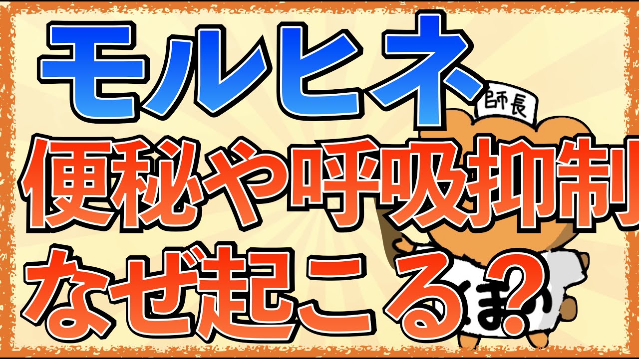 イラストで学ぶ医学！「モルヒネで呼吸抑制や便秘が起こる理由とは？」モルヒネの作用・副作用の機序をわかりやすく解説！