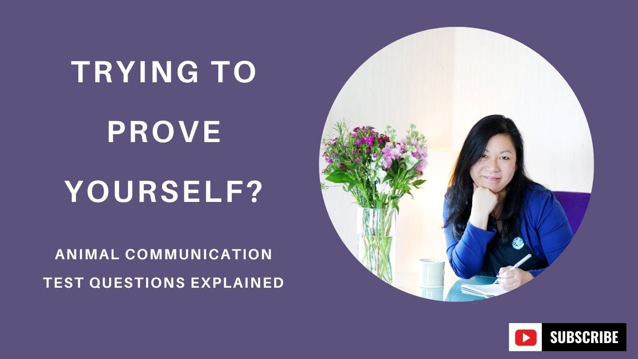 When Clients Test Your Animal Communication Skills (What They’re Really Asking)