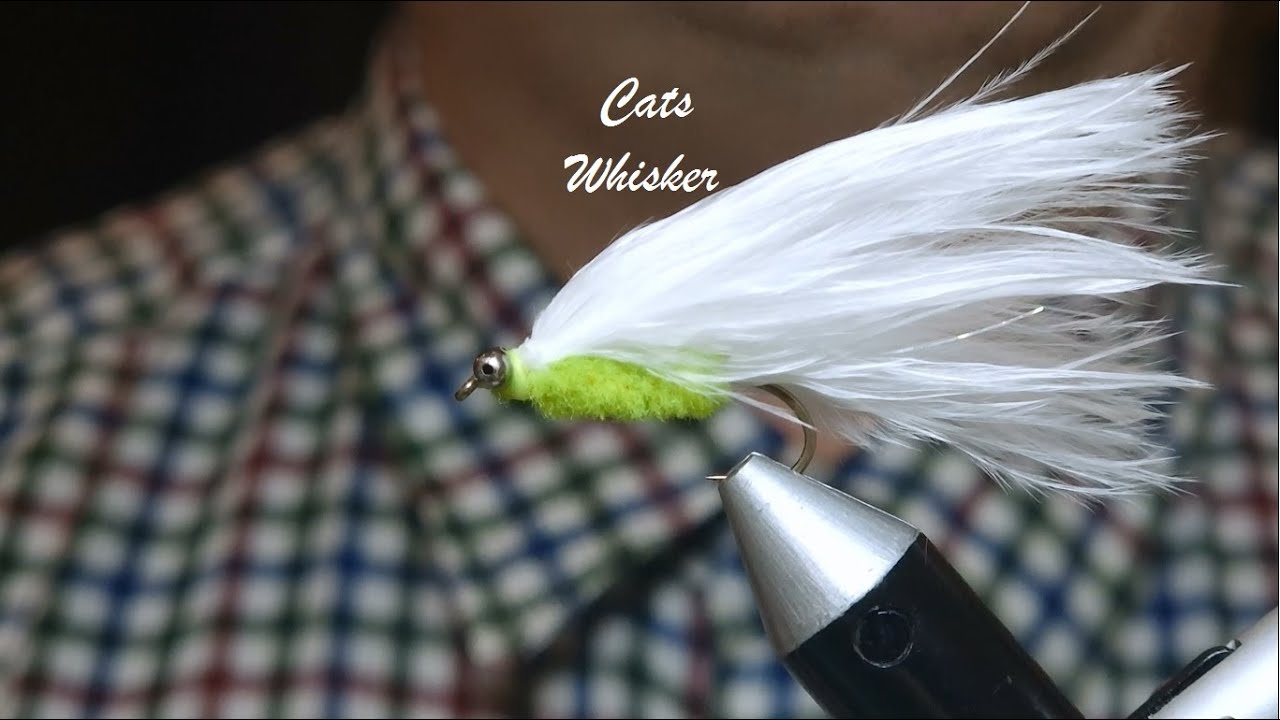 Cats Whisker