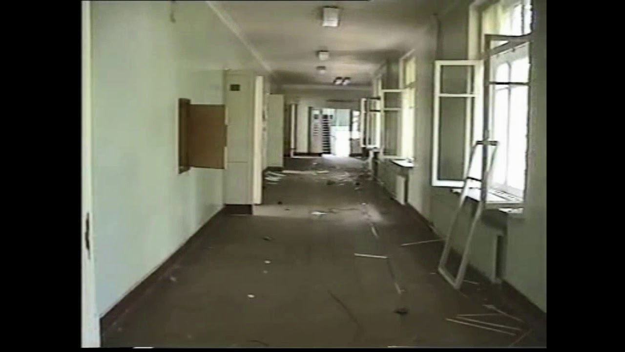 Школа 281-64-1284 имени Н.В. Ковшовой