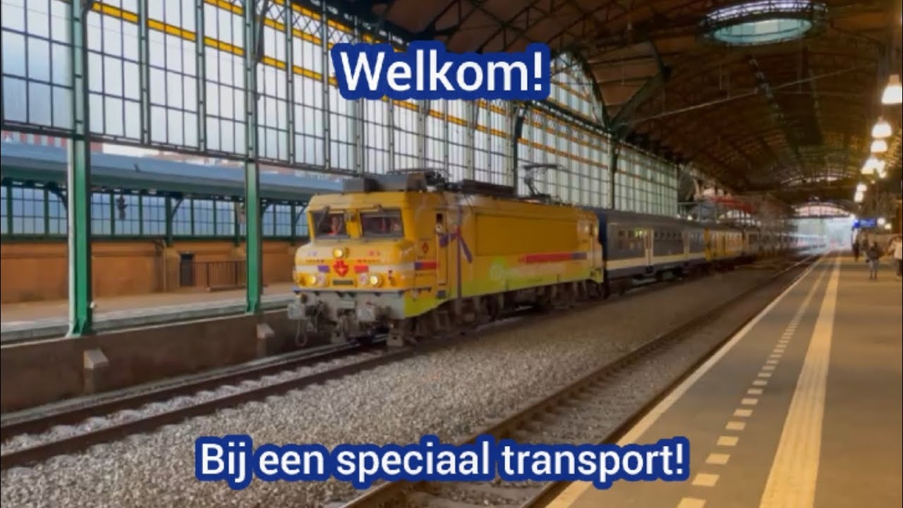 12 locs (1700) op speciaal transport (07 - 11 - 2025)