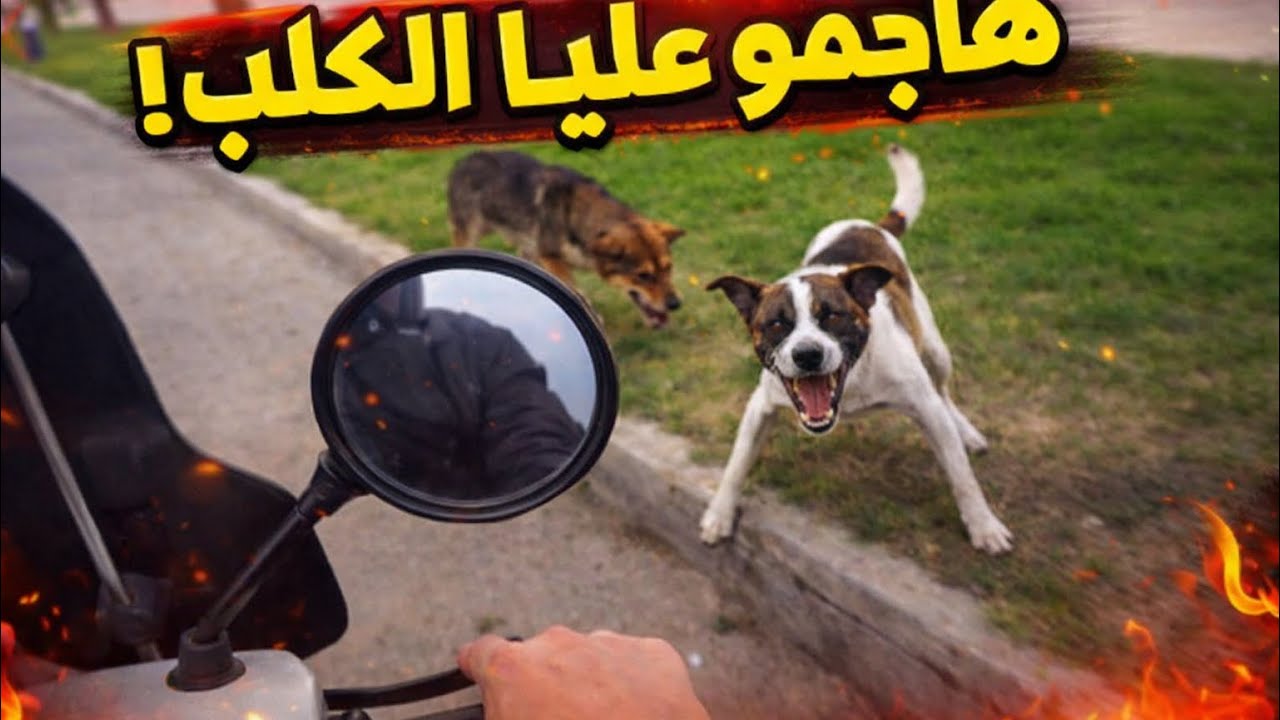 فلوغ رمضاني   1 | الحملة على الدراجات النارية + مفاجئة كبيرة جاية ! 🔥