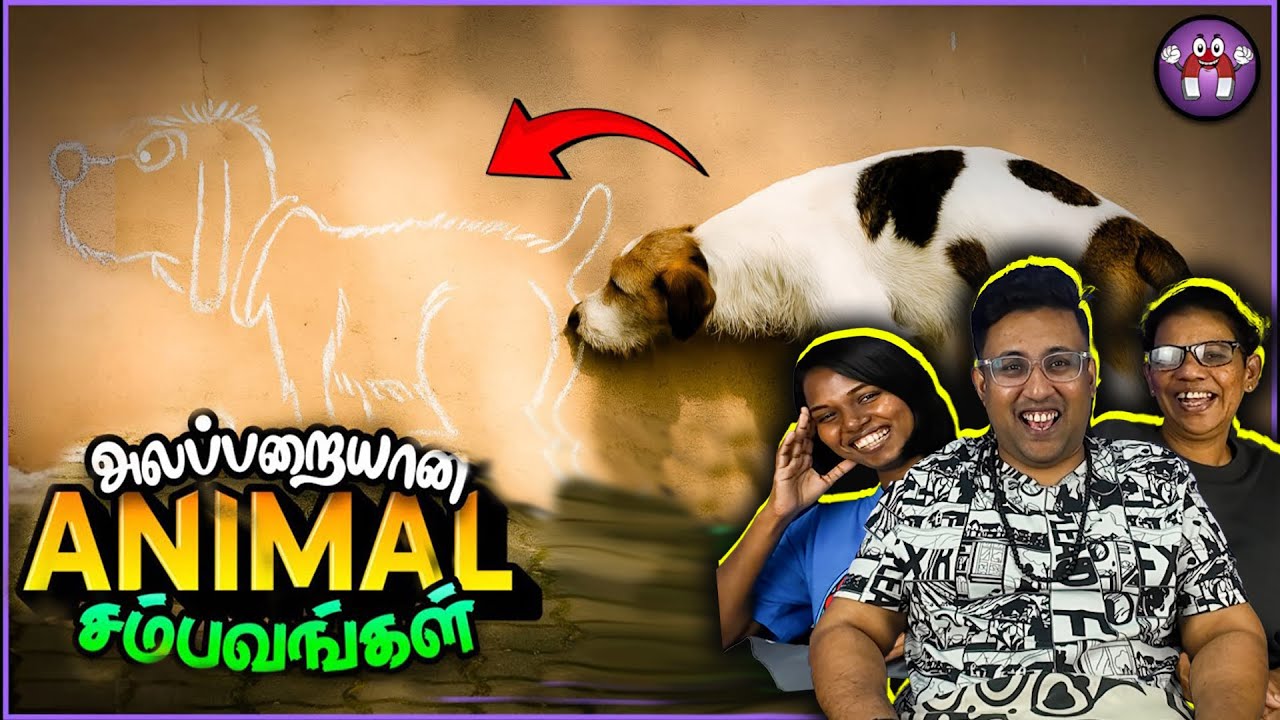 Funny ANIMALS Kiya Miya Reaction 😂 | Ramstk Family
