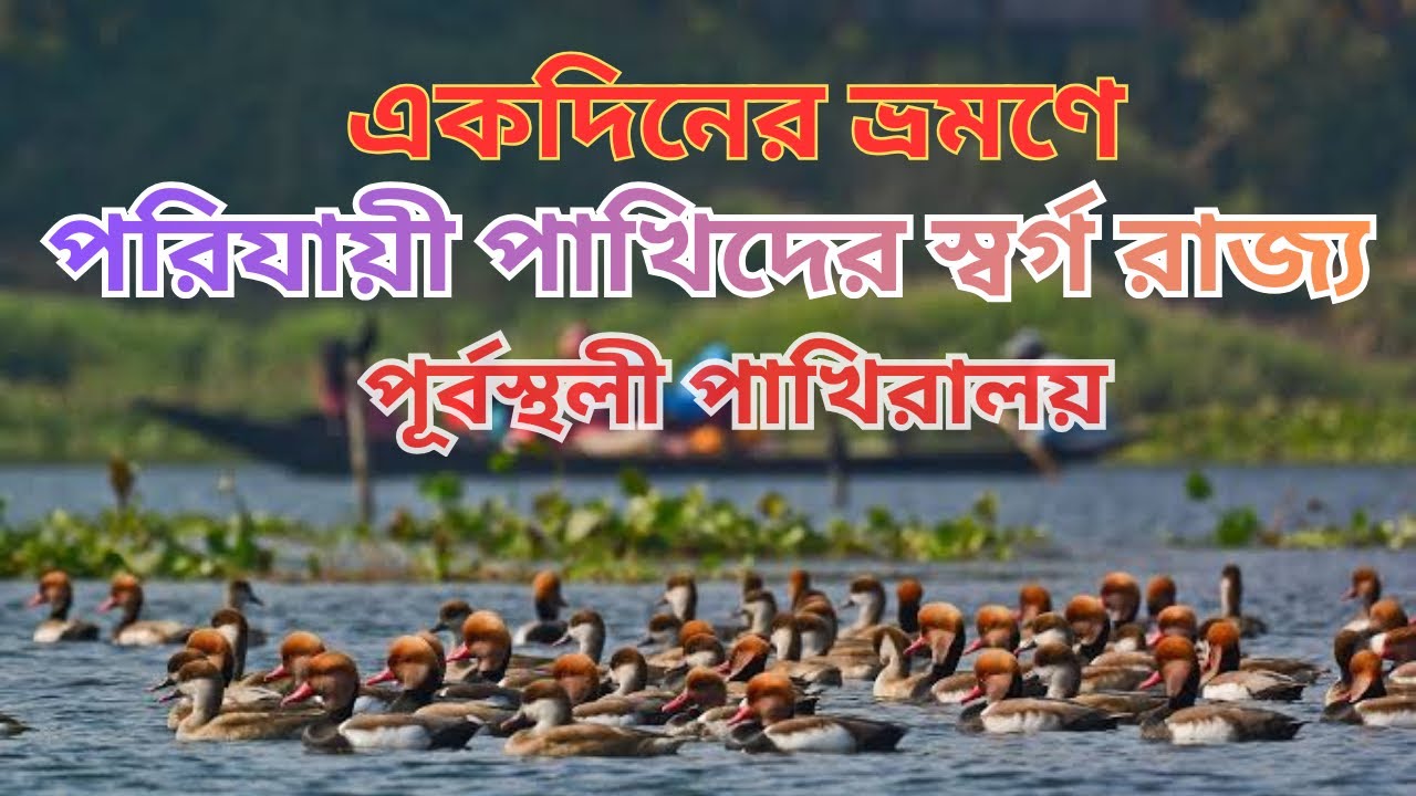 পাখির স্বর্গরাজ্য চুপিরচর পূর্বস্থলী | Weekend Trip Form Kolkata | Chupi Chor Purbasthali |পাখিরালয়
