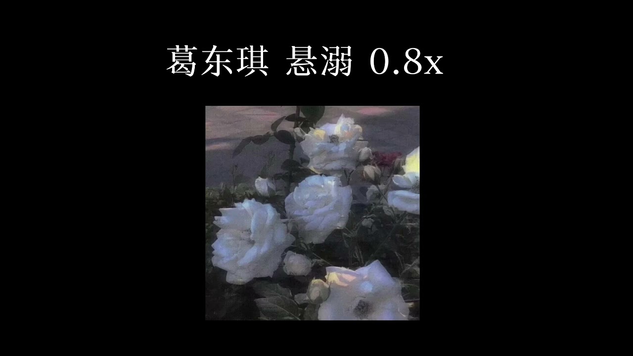 葛东琪 悬溺 (slowed and reverb) 0.8x