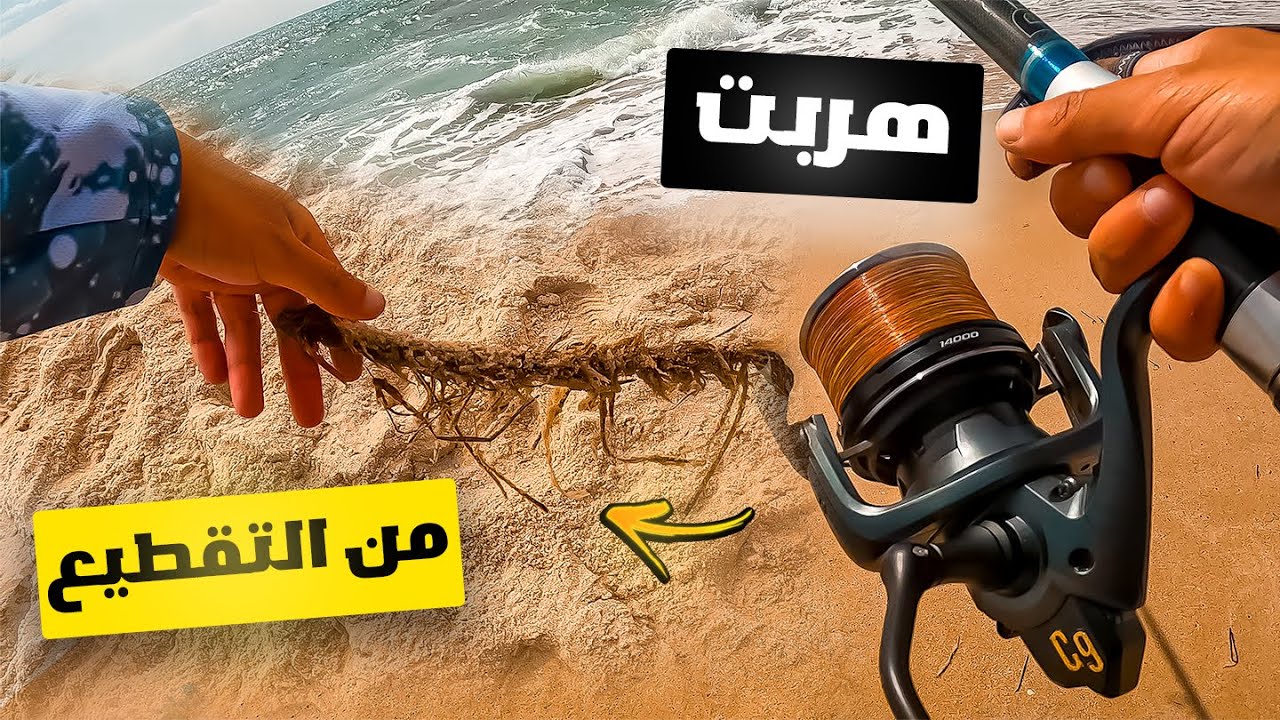الجولة الثالثة  للبطولة التونسية للصيد من الشاطئ | الجزء الثاني  | 2024