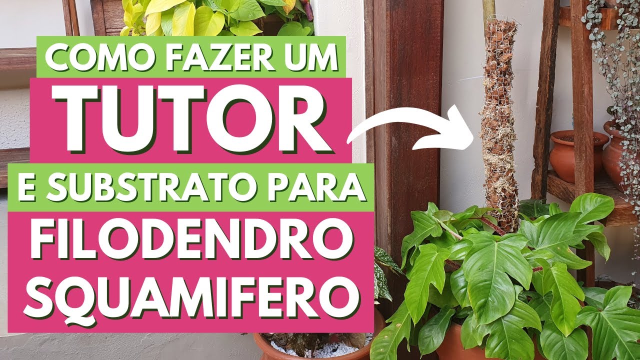 COMO FAZER TUTOR E SUBSTRATO PARA O PLANTIO DO FILODENDRO SQUAMIFERO! DICAS DE CULTIVO!