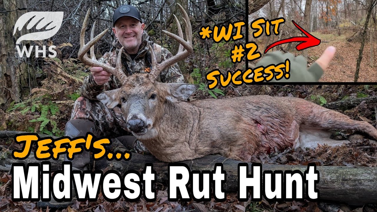 Midwest Rut Hunt With A Bow | Jeff Sturgis