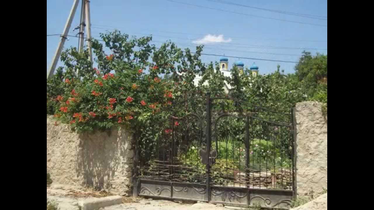 Moldova. Trebujeni. Молдова. Требужены.