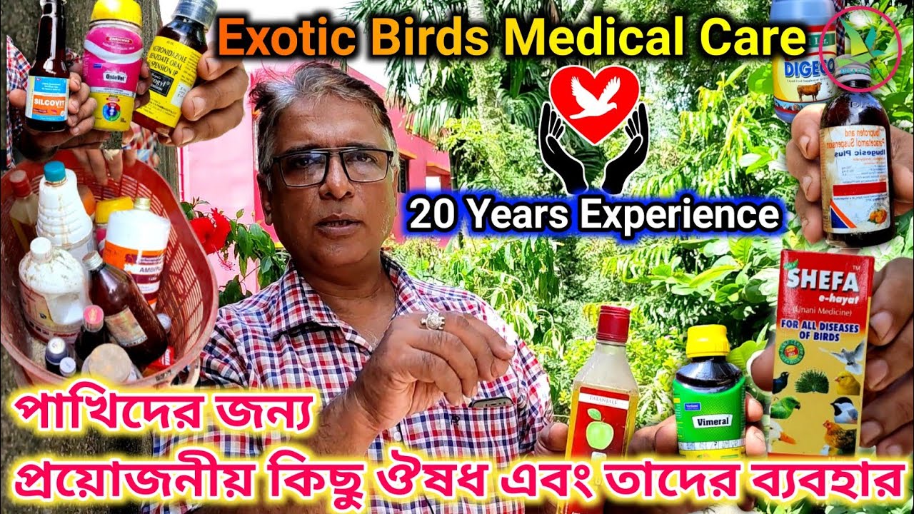 Best Medicine Care & Proper Medical Treatment For Exotic Birds Breeding||KUILA For EVER