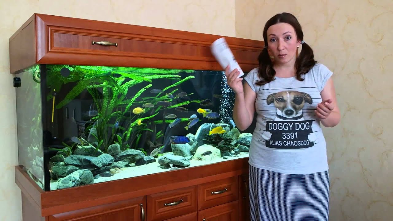 UV-стерилизатор в аквариуме: как этим пользоваться. На примере EHEIM reeflex UV500