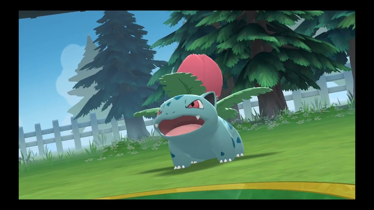 Pokémon platino gym#2 