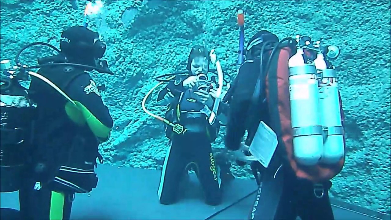 Ausbildung OWD Diveworld Enschede 10 07 2017
