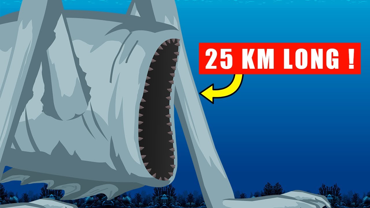 5 Facts (Fans Described) About Sea Eater