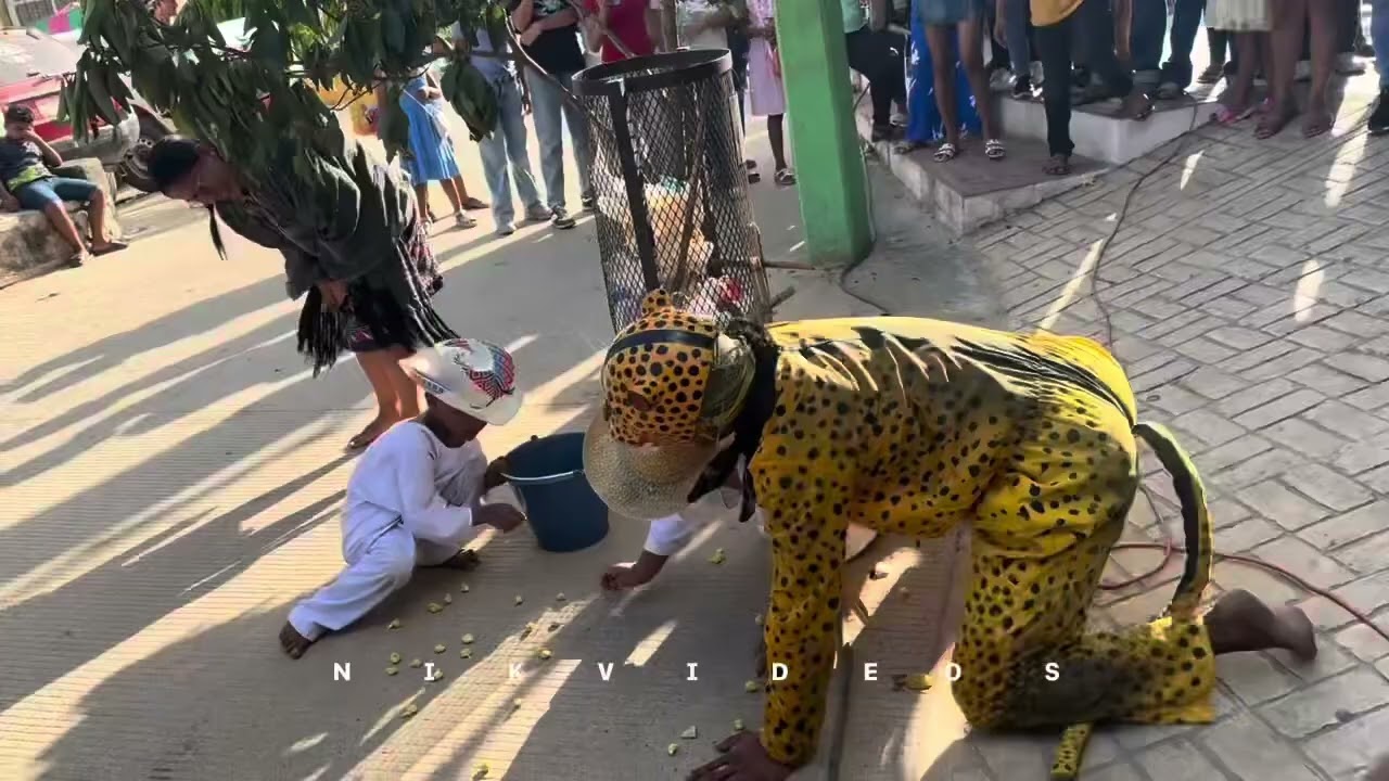 Los tlaminques con el tigre Mare&ntilde;o de Cochoapa 