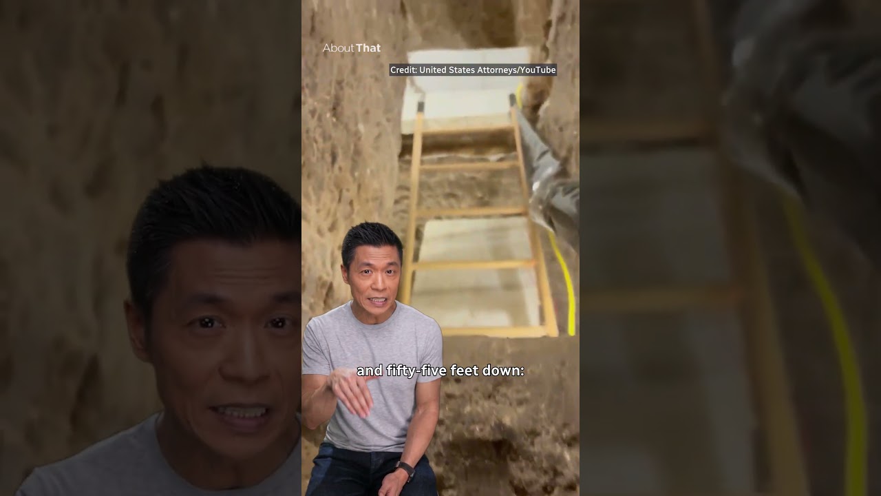 Cross-border tunnel drug bust | About That