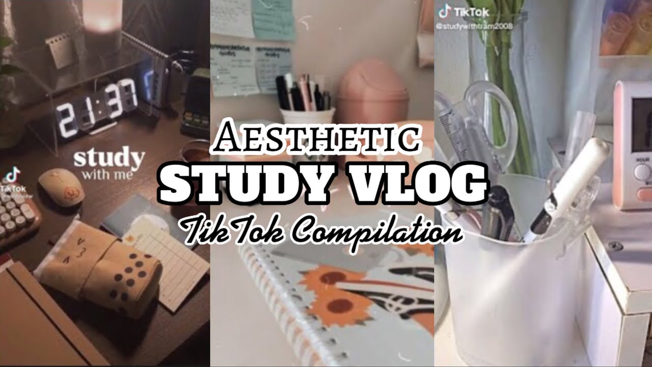 Aesthetic STUDY VLOG // TikTok Compilation // Dina Aesthetix