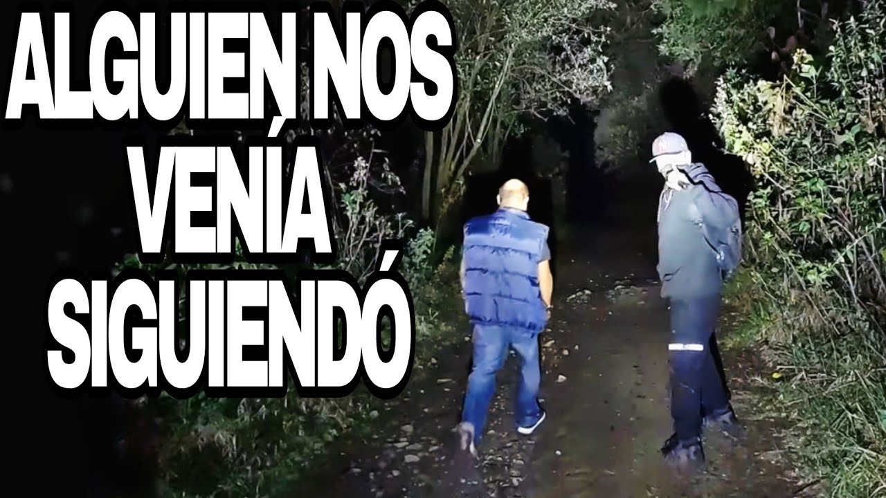 El Bosque Del Desierto De Los Leones, Camino Al Km 31 parte 2