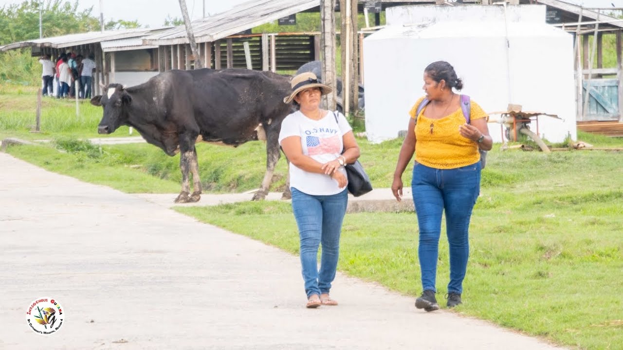 Pakuri Farmers Visits A Livestock Farm