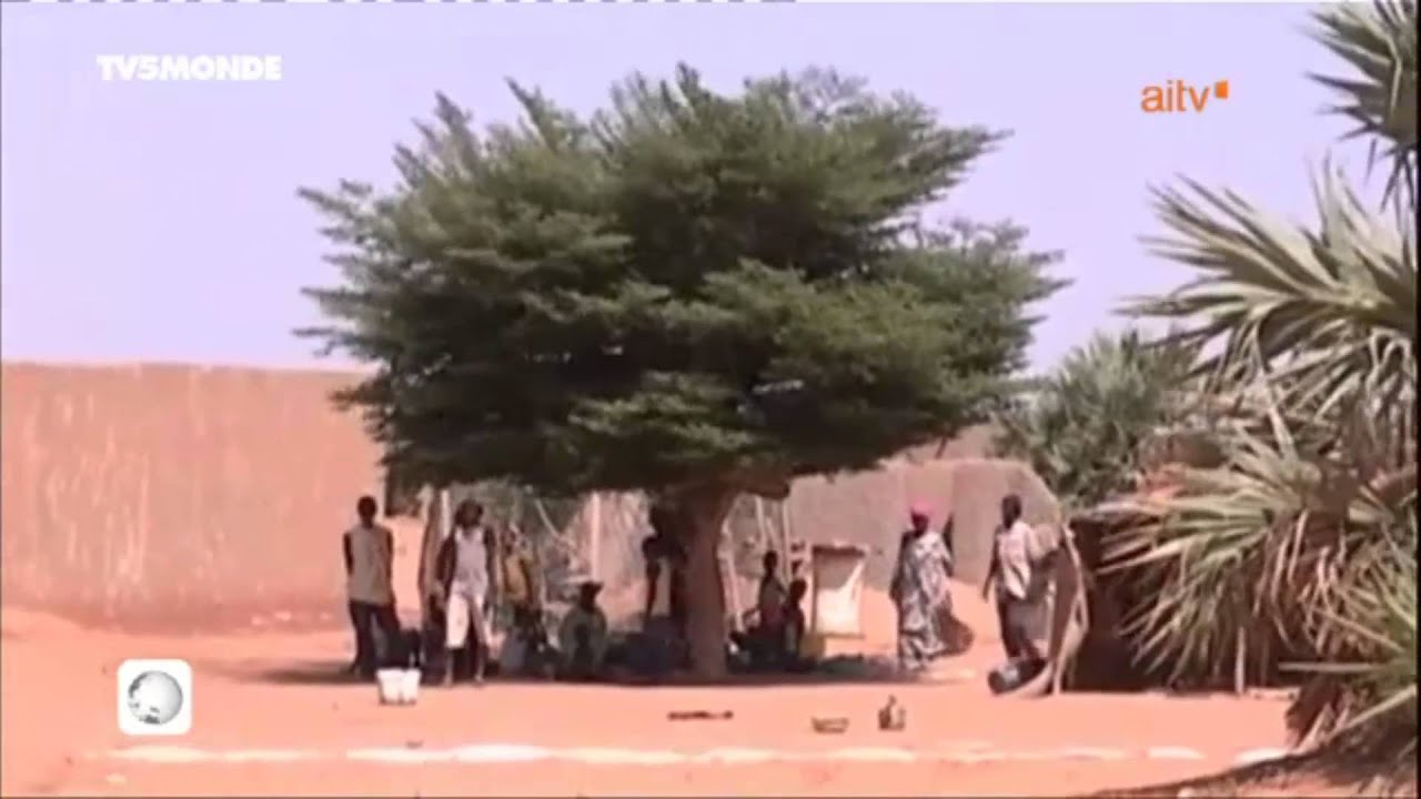 MALI/GAO: NOUVELLE ATTAQUE DU MUJAO