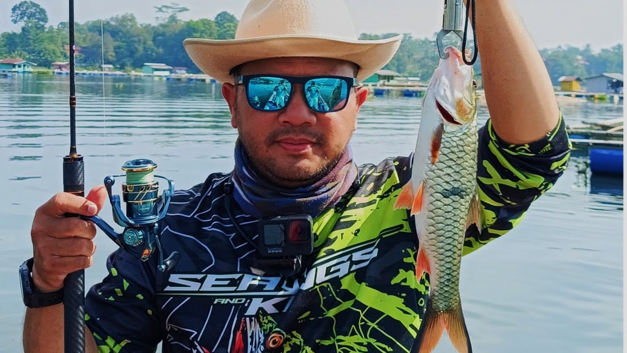 SANG PETARUNG SIAP MEMBURU PREDATOR SAGULING PART 2