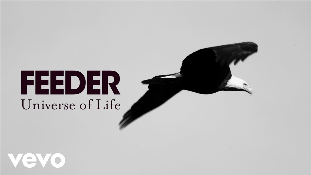 Feeder - Universe of Life