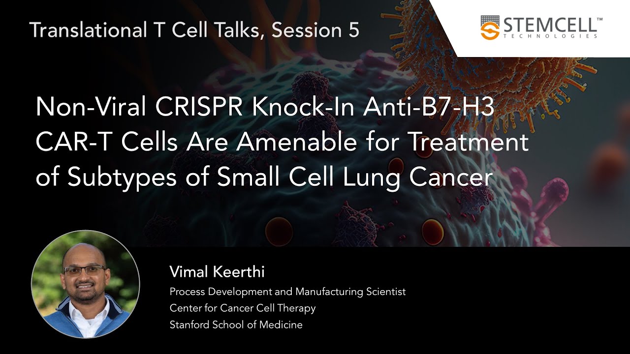 Non-Viral CRISPR Knock-In Anti-B7-H3 CAR-T Cells for the Treatment of Small Cell Lung Cancer