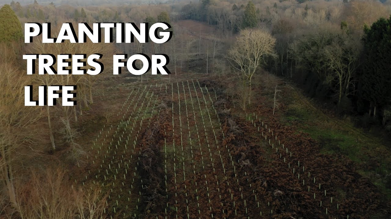 Planting Trees for Life