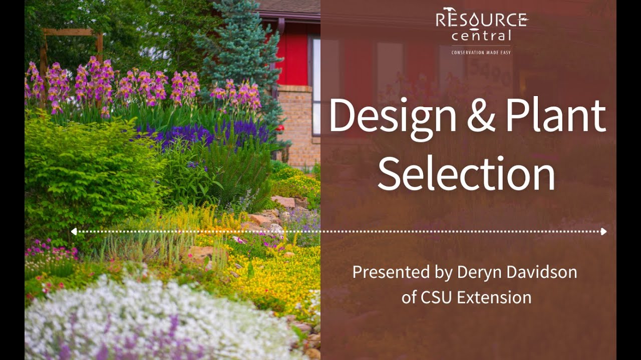 Design and Plant Selection