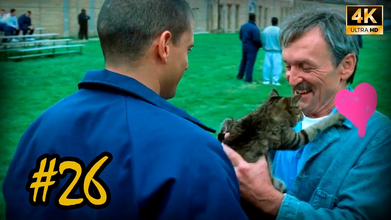 Scofield Finds lost cat and Invites Westmoreland to join him.  Prison Break s01 pt.26, 2160p (4K)