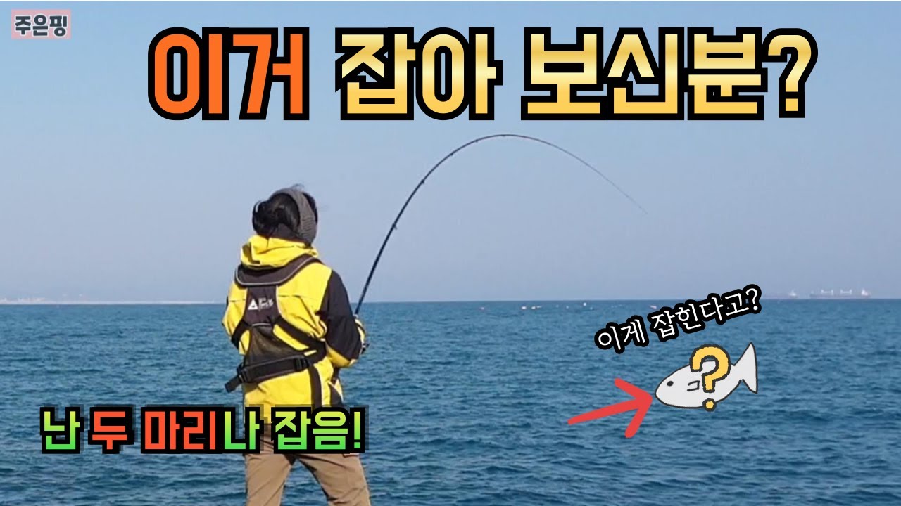 낚시하다가 이거 잡아본 적 있는 사람?