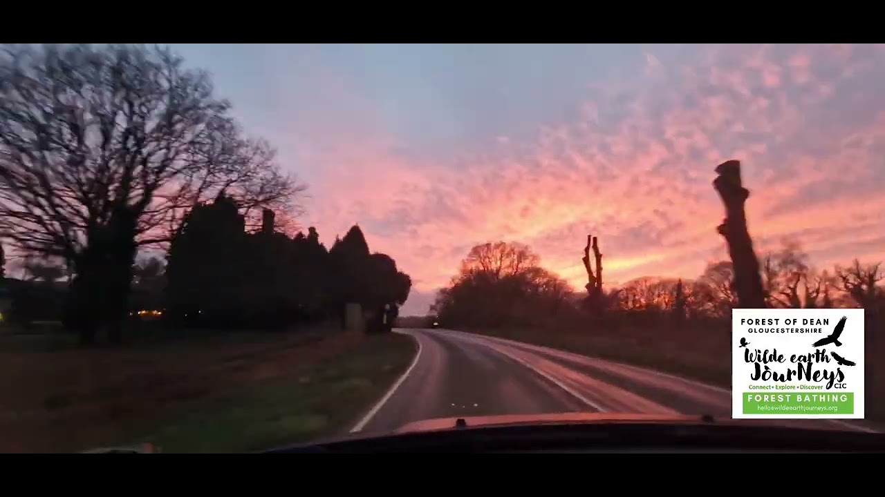 Sunset Drive in the Forest of Dean #AccessToNature #Gratitude