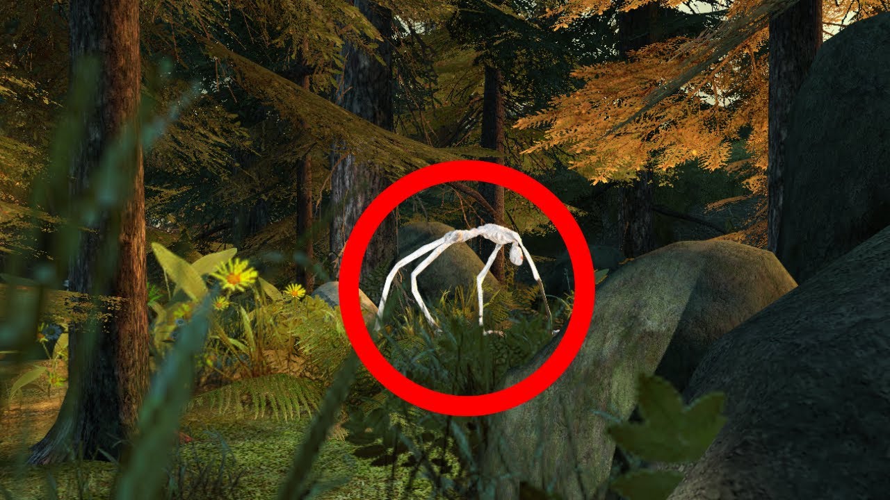 Top 5 Cryptid Sightings in Garry's Mod