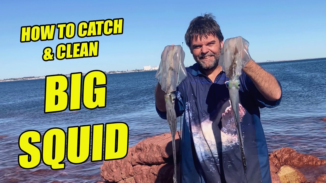 HUGE Squid Off the Rocks! Full Rig Setup + Easy Cleaning Guide!