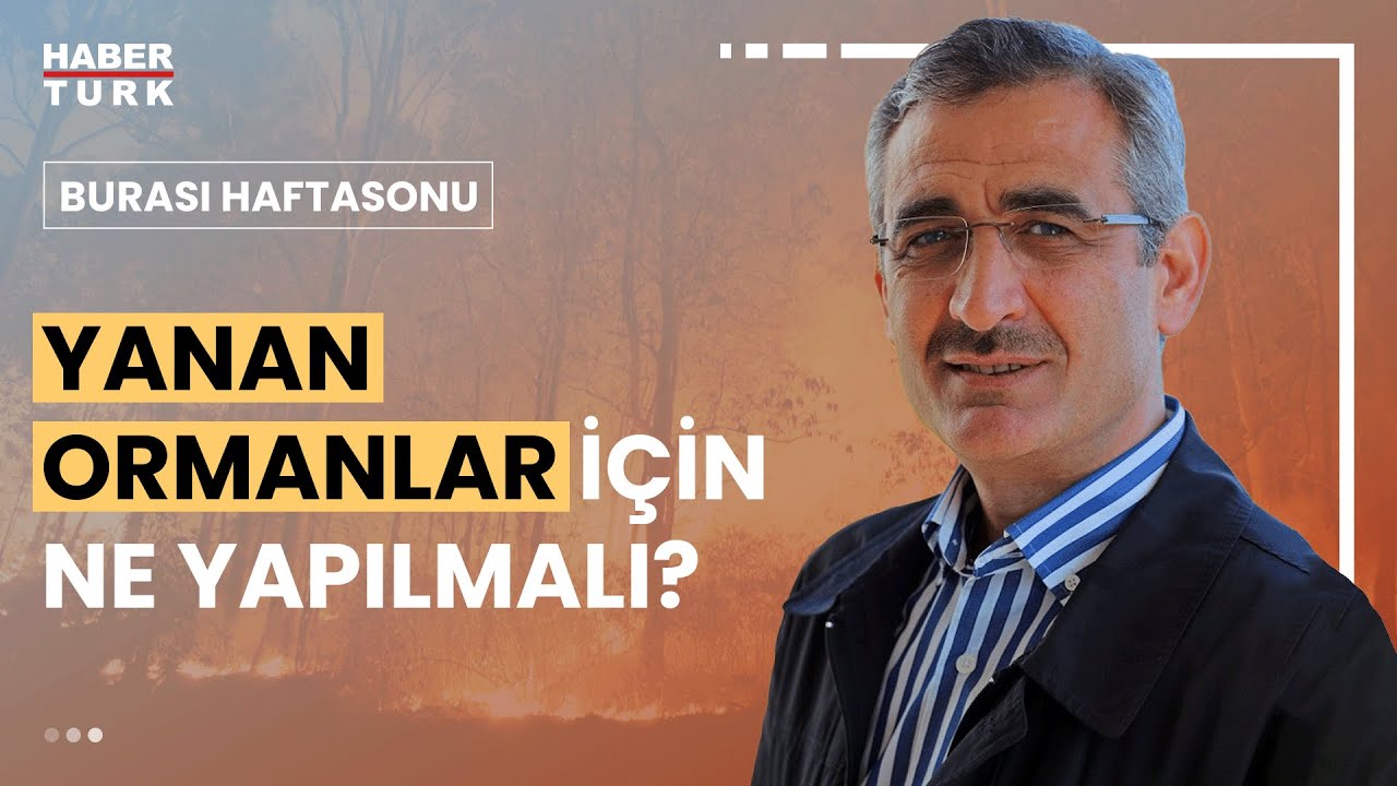 Yanan ormanlar ne zaman yeşerir? Prof. Dr. Ertuğrul Bilgili değerlendirdi