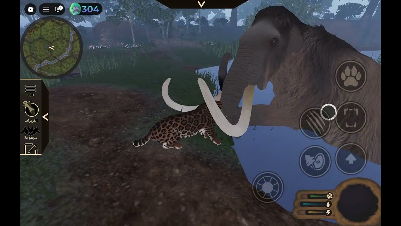 ١٢ مارس ٢٠٢٦