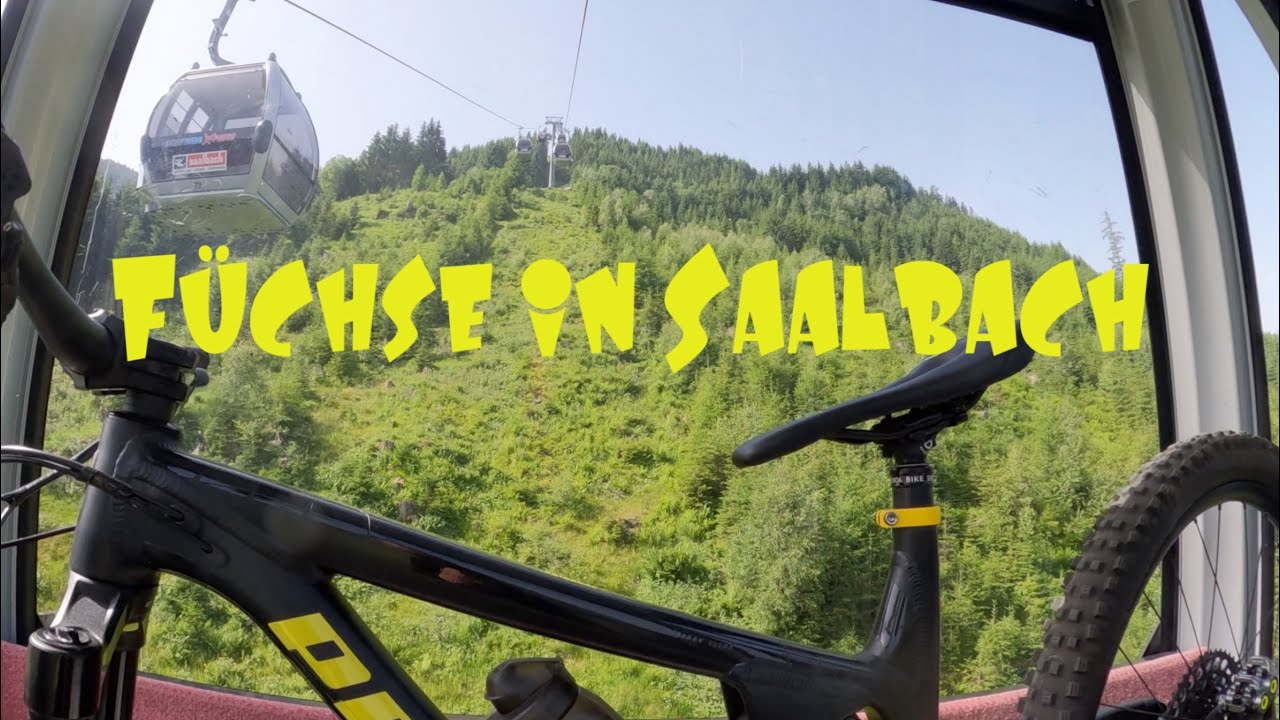 Fuchstrail auf dem Hacklbergtrail