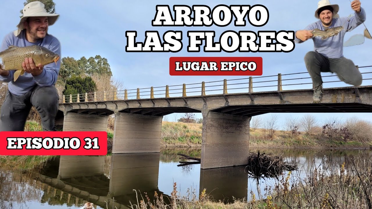 Pesca y aventuras en el Arroyo las Flores, Carpas y bagres grandes // recorriendo en moto, MJ-PESCA