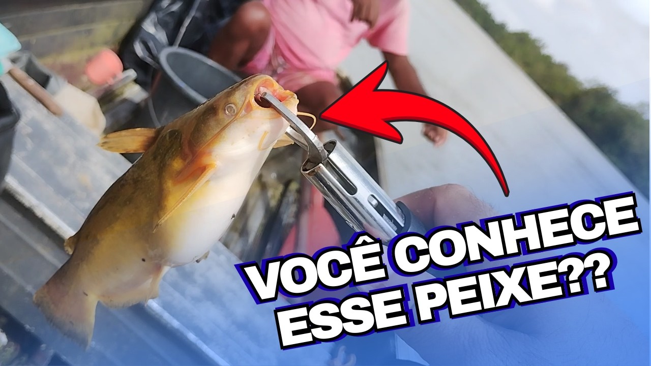 PESCARIA DE PEIXE DIFERENTE E CHEIA DE SURPRESA