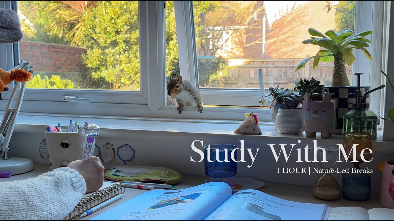 1 HOUR STUDY WITH ME | Nature-Led Breaks 🐿️ 🍃| calm music, background noise
