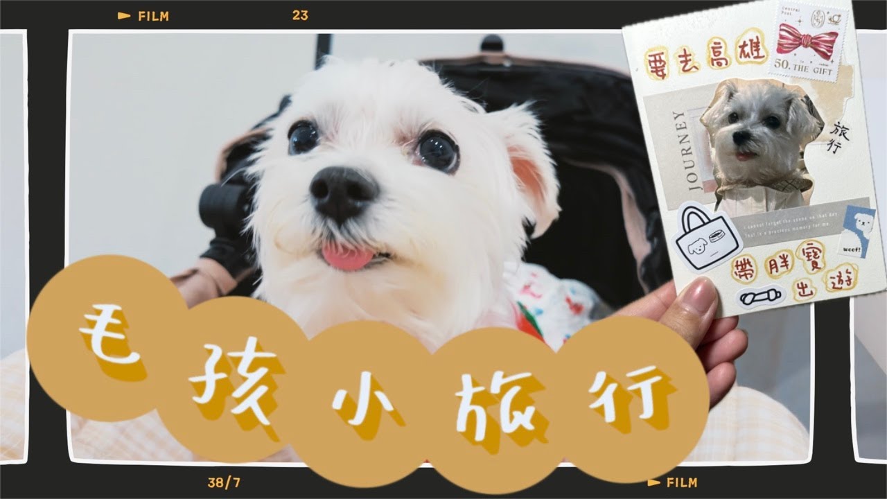 高雄屏東寵物旅行日記 📔｜開箱寵物友善飯店 🏨、狗狗專屬燒肉 🥩、浪漫聖誕市集 🎄。與 毛小孩的療癒時光 🐶🤍