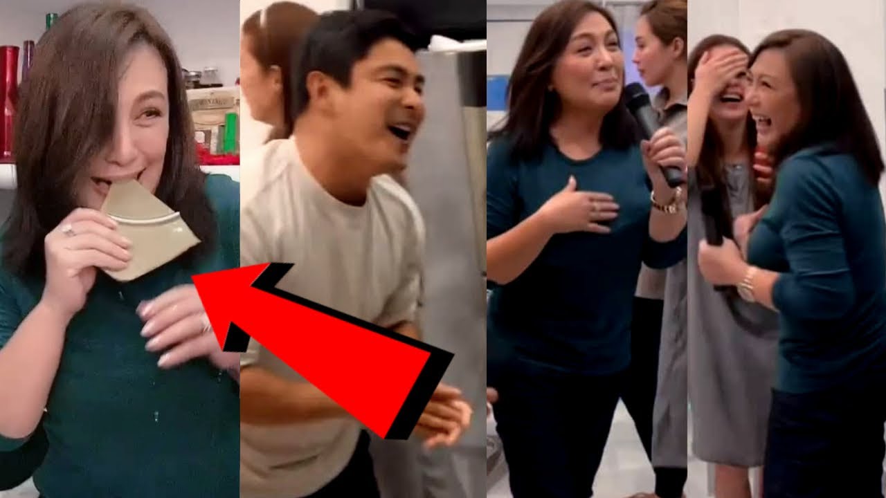 SHARON Cuneta NAGBASAG ng PLATO sa REUNION ng ANG PROBINSYANO