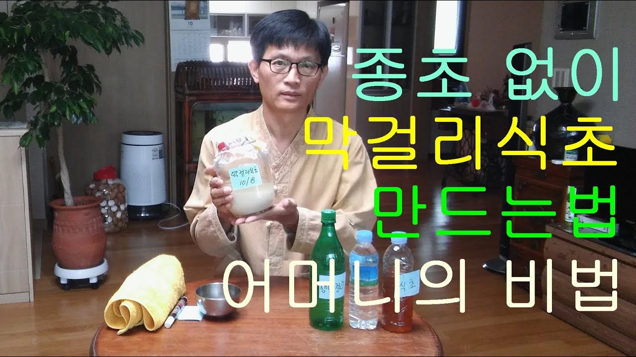 종초 없이 막걸리식초 만드는법,막걸리식초 만들기,어머니의 비법,종초만드는법,효초막걸리식초