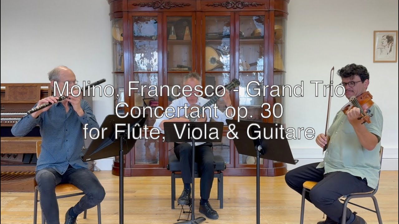 Francesco Molino - Grand Trio Concertant op. 30