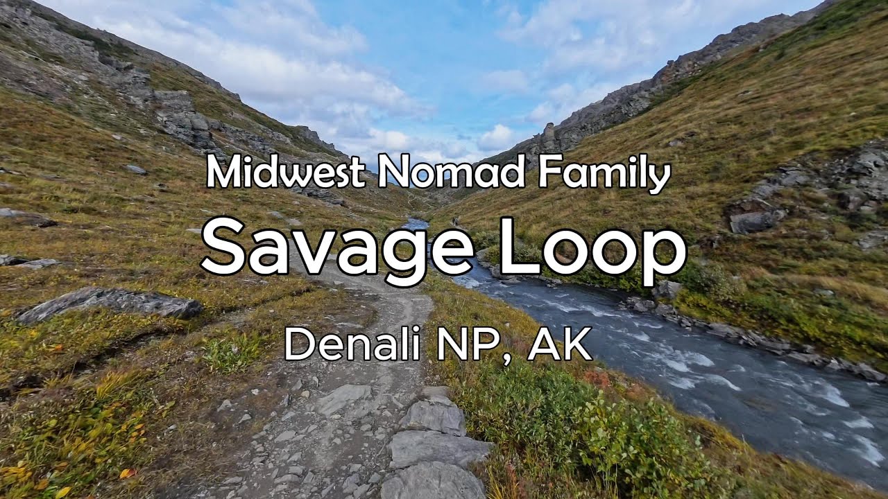 Savage River Loop Trail in Denali NP Alaska 4k