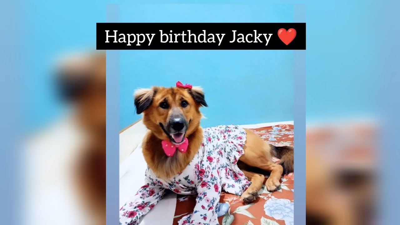 Birthday vlog 🎉❤🥳