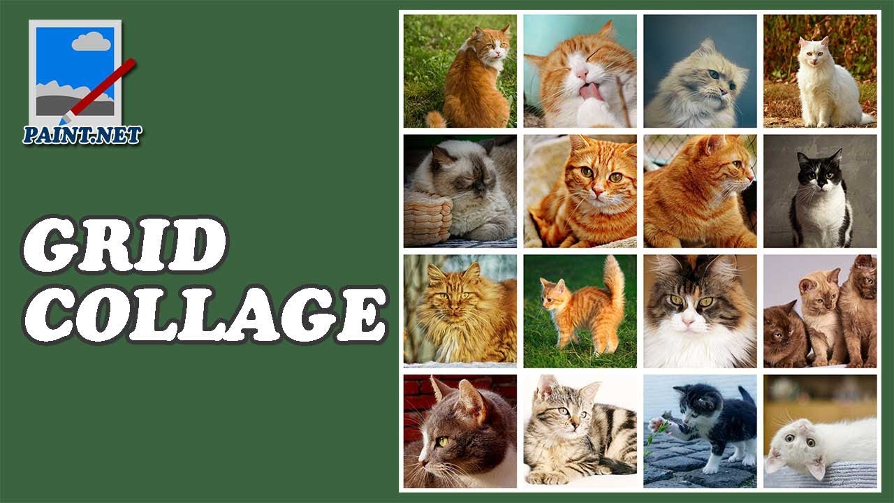Как сделать коллаж из сетки в Paint NET