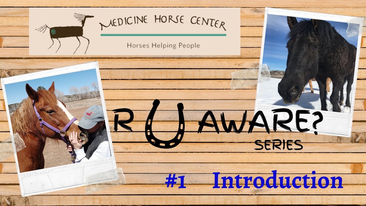 #1 Introduction to Medicine Horse Center (Mancos, Colorado)